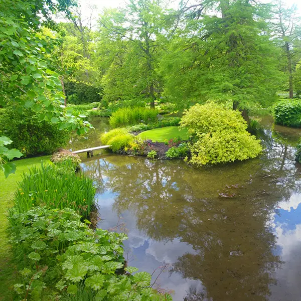 Outside wilderness with lake water feature