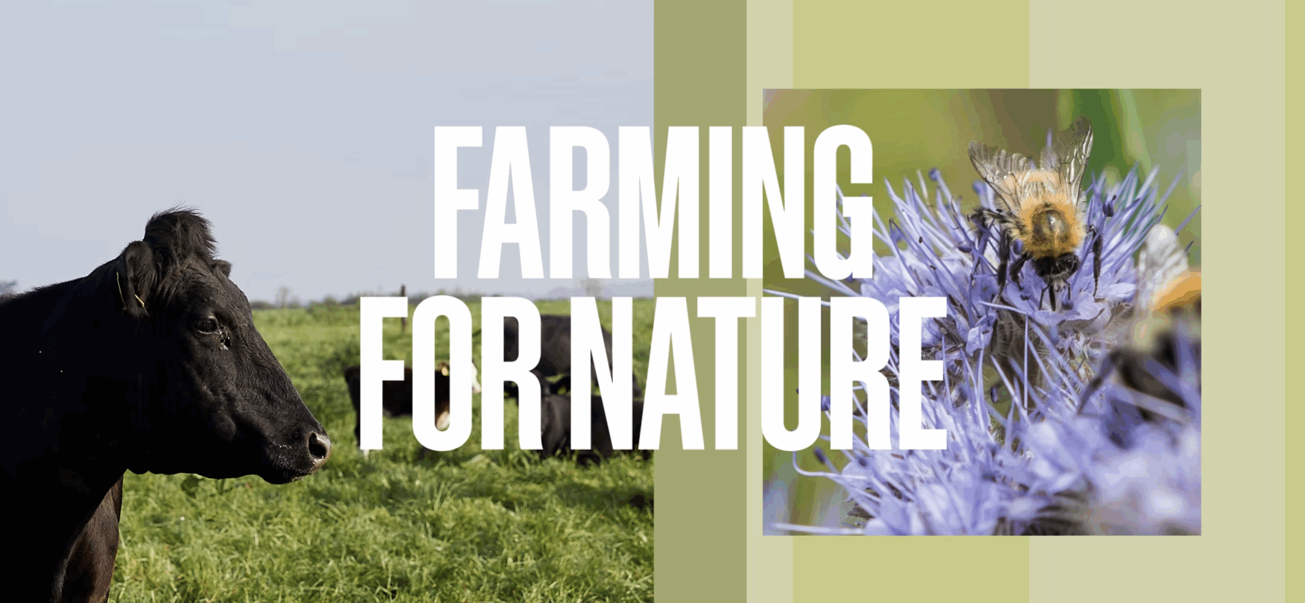 Farming for Nature