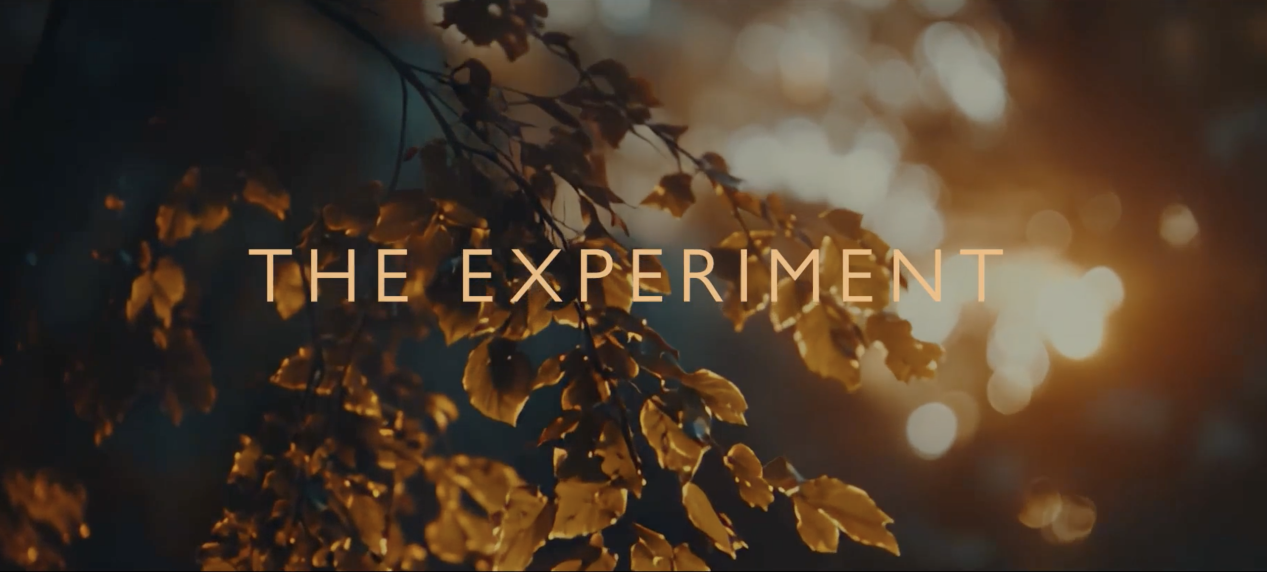 How Does a 100-Year-Old Experiment Continue to Show Up in the Partnership Today? 🌱